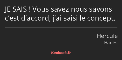 JE SAIS ! Vous savez nous savons c’est d’accord, j’ai saisi le concept.