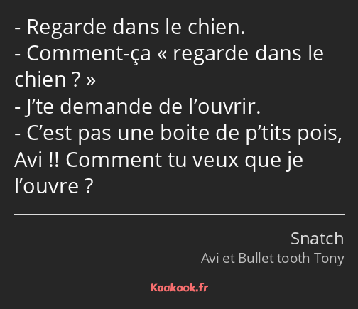 Regarde dans le chien. Comment-ça regarde dans le chien ? J’te demande de l’ouvrir. C’est pas une…