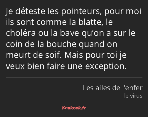 Je déteste les pointeurs, pour moi ils sont comme la blatte, le choléra ou la bave qu’on a sur le…