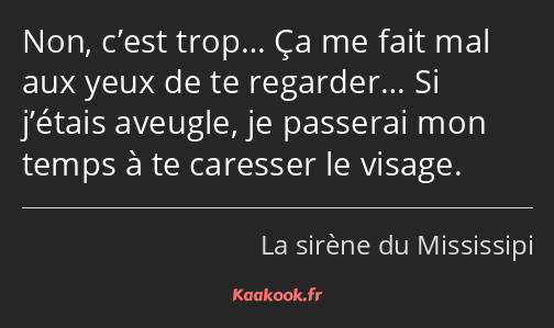 Non, c’est trop… Ça me fait mal aux yeux de te regarder… Si j’étais aveugle, je passerai mon temps…