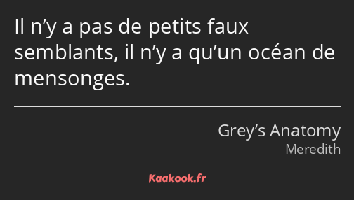 Il n’y a pas de petits faux semblants, il n’y a qu’un océan de mensonges.