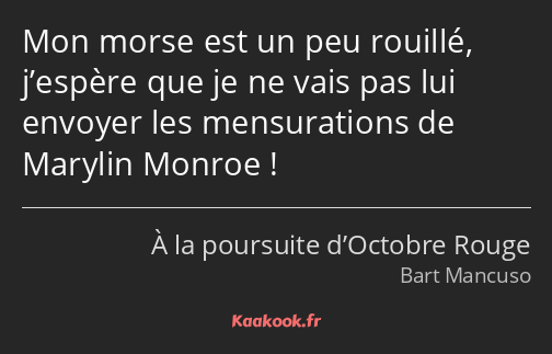 Mon morse est un peu rouillé, j’espère que je ne vais pas lui envoyer les mensurations de Marylin…