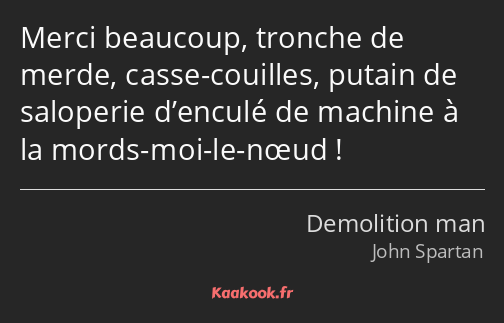 Merci beaucoup, tronche de merde, casse-couilles, putain de saloperie d’enculé de machine à la…