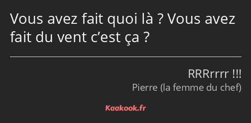 Vous avez fait quoi là ? Vous avez fait du vent c’est ça ?