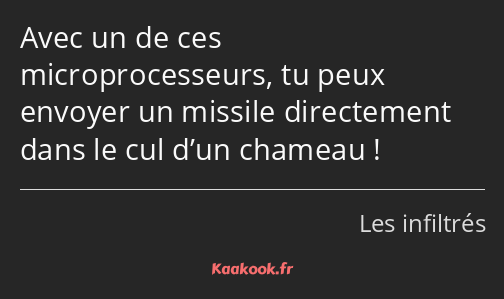 Avec un de ces microprocesseurs, tu peux envoyer un missile directement dans le cul d’un chameau !