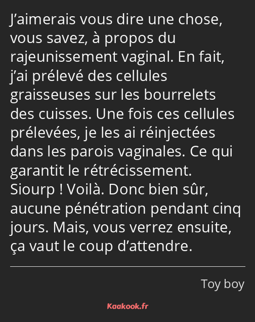 J’aimerais vous dire une chose, vous savez, à propos du rajeunissement vaginal. En fait, j’ai…