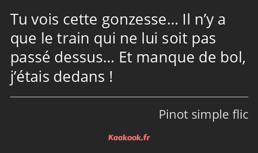 Tu vois cette gonzesse… Il n’y a que le train qui ne lui soit pas passé dessus… Et manque de bol…