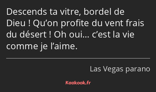 Descends ta vitre, bordel de Dieu ! Qu’on profite du vent frais du désert ! Oh oui… c’est la vie…