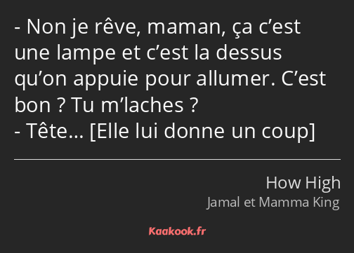 Non je rêve, maman, ça c’est une lampe et c’est la dessus qu’on appuie pour allumer. C’est bon ? Tu…