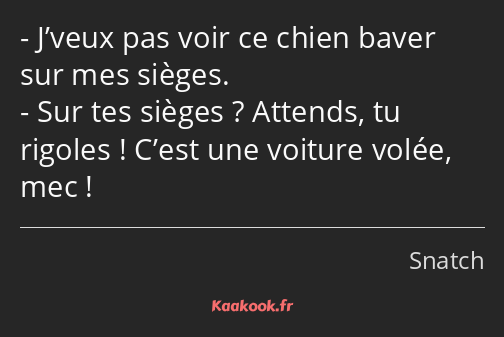 J’veux pas voir ce chien baver sur mes sièges. Sur tes sièges ? Attends, tu rigoles ! C’est une…