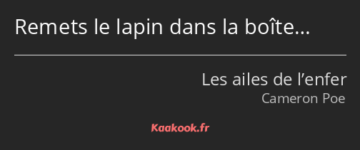 Remets le lapin dans la boîte…