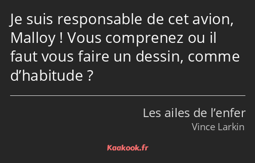 Je suis responsable de cet avion, Malloy ! Vous comprenez ou il faut vous faire un dessin, comme…