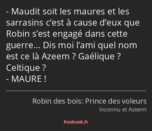 Maudit soit les maures et les sarrasins c’est à cause d’eux que Robin s’est engagé dans cette…