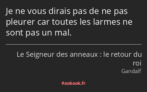 Je ne vous dirais pas de ne pas pleurer car toutes les larmes ne sont pas un mal.