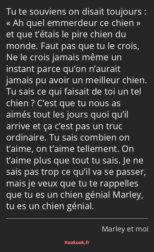 Tu te souviens on disait toujours : Ah quel emmerdeur ce chien et que t’étais le pire chien du…