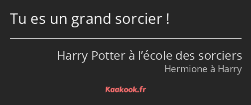 Tu es un grand sorcier !