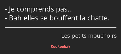 Je comprends pas… Bah elles se bouffent la chatte.