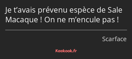 Je t’avais prévenu espèce de Sale Macaque ! On ne m’encule pas !