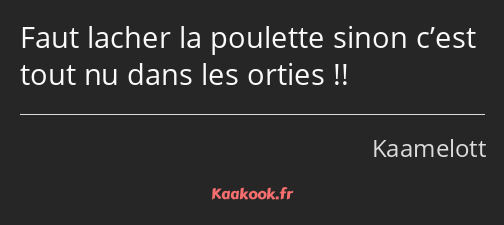 Faut lacher la poulette sinon c’est tout nu dans les orties !!