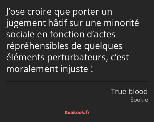 J’ose croire que porter un jugement hâtif sur une minorité sociale en fonction d’actes…