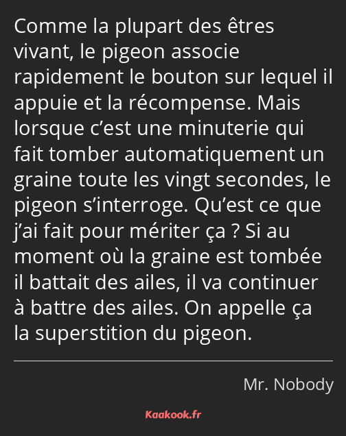 Comme la plupart des êtres vivant, le pigeon associe rapidement le bouton sur lequel il appuie et…