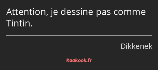 Attention, je dessine pas comme Tintin.