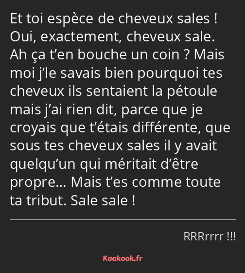 Et toi espèce de cheveux sales ! Oui, exactement, cheveux sale. Ah ça t’en bouche un coin ? Mais…