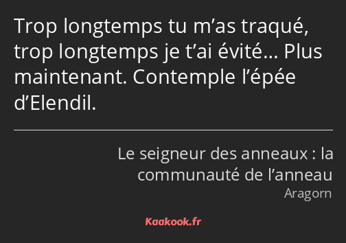 Trop longtemps tu m’as traqué, trop longtemps je t’ai évité… Plus maintenant. Contemple l’épée…