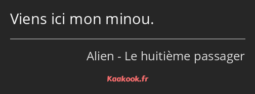 Viens ici mon minou.