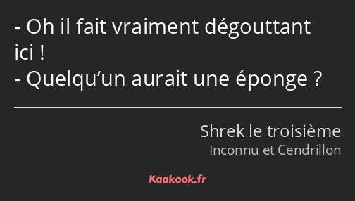 Oh il fait vraiment dégouttant ici ! Quelqu’un aurait une éponge ?