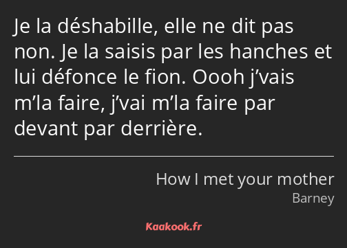 Je la déshabille, elle ne dit pas non. Je la saisis par les hanches et lui défonce le fion. Oooh…