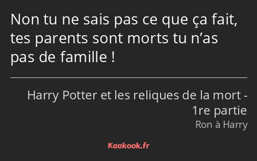 Non tu ne sais pas ce que ça fait, tes parents sont morts tu n’as pas de famille !