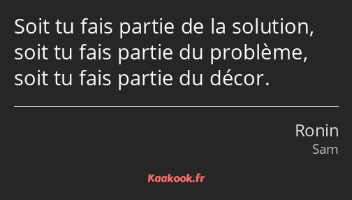 Soit tu fais partie de la solution, soit tu fais partie du problème, soit tu fais partie du décor.