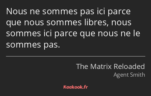 Nous ne sommes pas ici parce que nous sommes libres, nous sommes ici parce que nous ne le sommes…