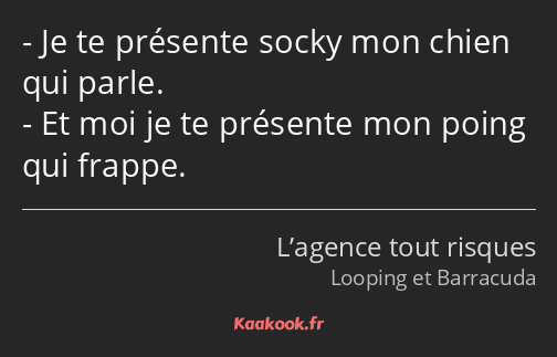 Je te présente socky mon chien qui parle. Et moi je te présente mon poing qui frappe.