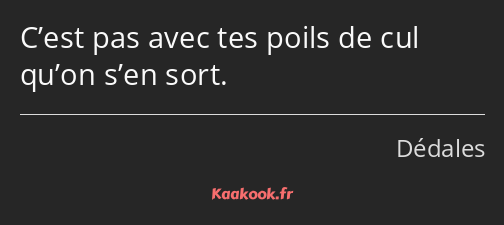 C’est pas avec tes poils de cul qu’on s’en sort.