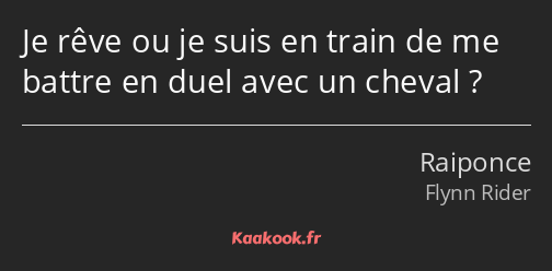 Je rêve ou je suis en train de me battre en duel avec un cheval ?