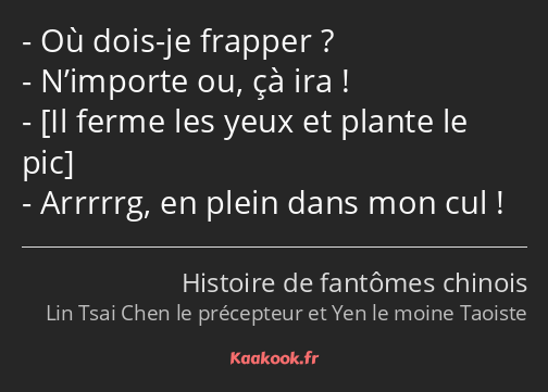 Où dois-je frapper ? N’importe ou, çà ira ! Arrrrrg, en plein dans mon cul !