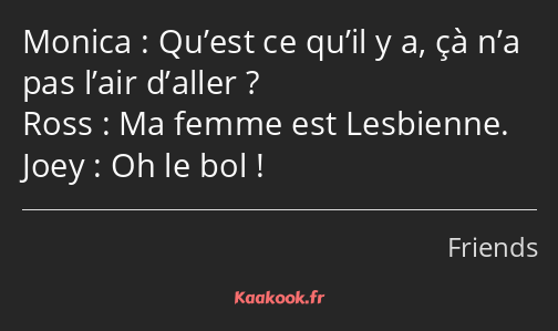 Qu’est ce qu’il y a, çà n’a pas l’air d’aller ? Ma femme est Lesbienne. Oh le bol !