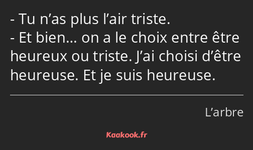 Tu n’as plus l’air triste. Et bien… on a le choix entre être heureux ou triste. J’ai choisi d’être…