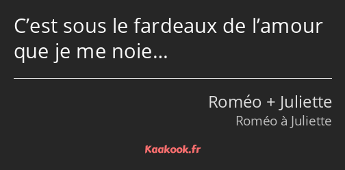 C’est sous le fardeaux de l’amour que je me noie…