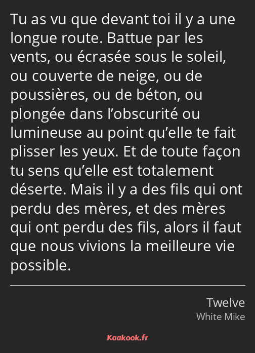 Tu as vu que devant toi il y a une longue route. Battue par les vents, ou écrasée sous le soleil…