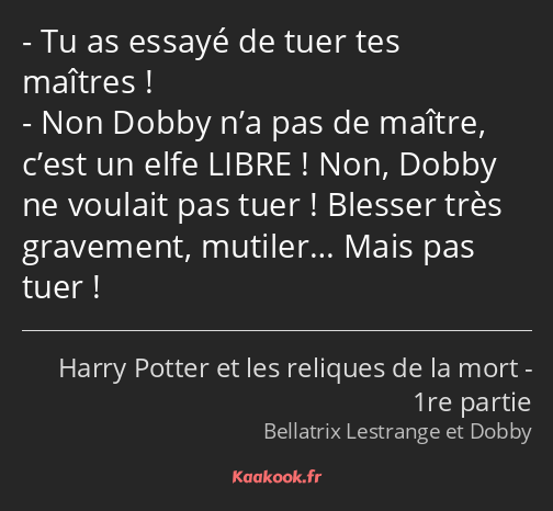 Tu as essayé de tuer tes maîtres ! Non Dobby n’a pas de maître, c’est un elfe LIBRE ! Non, Dobby ne…