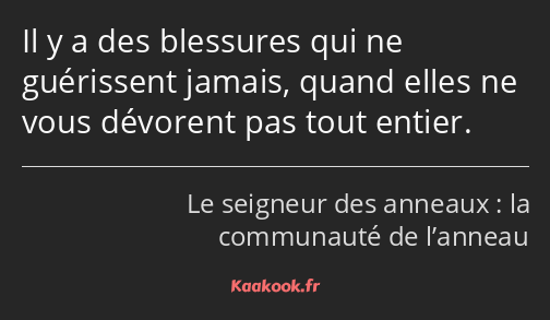 Il y a des blessures qui ne guérissent jamais, quand elles ne vous dévorent pas tout entier.