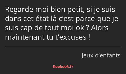 Regarde moi bien petit, si je suis dans cet état là c’est parce-que je suis cap de tout moi ok…