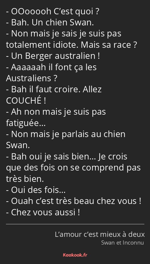 OOooooh C’est quoi ? Bah. Un chien Swan. Non mais je sais je suis pas totalement idiote. Mais sa…