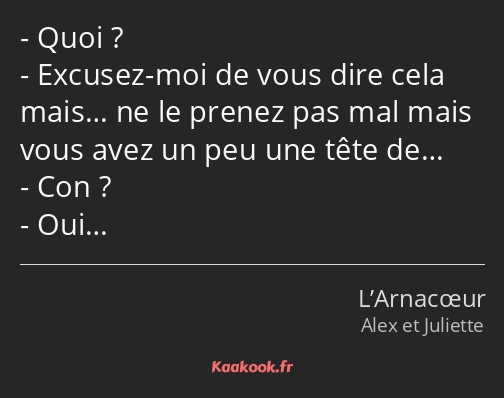 Quoi ? Excusez-moi de vous dire cela mais… ne le prenez pas mal mais vous avez un peu une tête de……