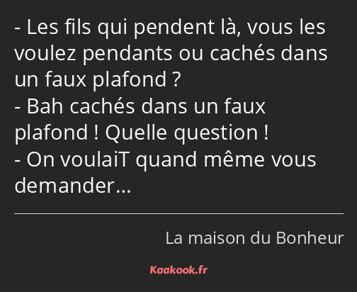 Les fils qui pendent là, vous les voulez pendants ou cachés dans un faux plafond ? Bah cachés dans…