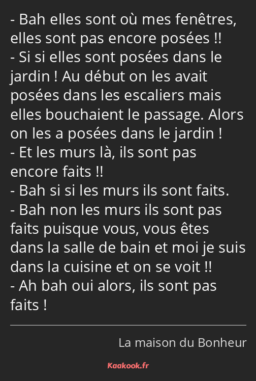 Bah elles sont où mes fenêtres, elles sont pas encore posées !! Si si elles sont posées dans le…