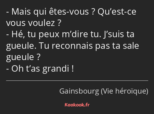 Mais qui êtes-vous ? Qu’est-ce vous voulez ? Hé, tu peux m’dire tu. J’suis ta gueule. Tu reconnais…